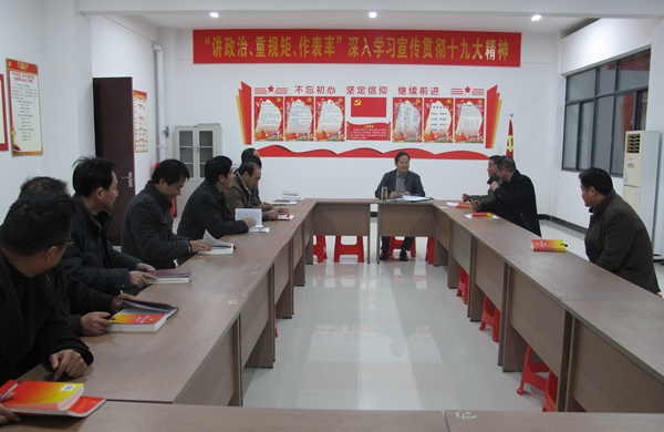 老年支部学习